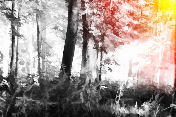 Ilustração florestal com fundo de vazamento de luz — Fotografia de Stock