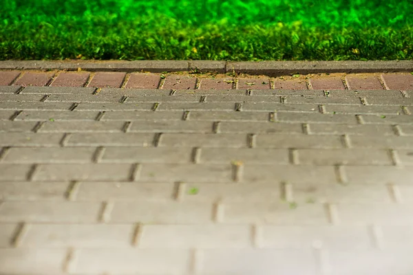Parque pavimento de azulejos fondo bokeh — Foto de Stock