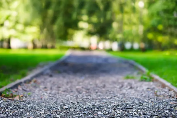 Düşük açılı park yolu manzara arka plan