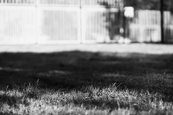 Basketbol zemin peyzaj arka plan