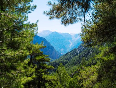 Yatay canlı dramatik dağlar görünümü manzara ağaçlar bokeh b