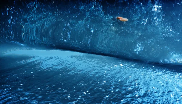 Горизонтальная яркая картина медузы из голубой морской волны — стоковое фото