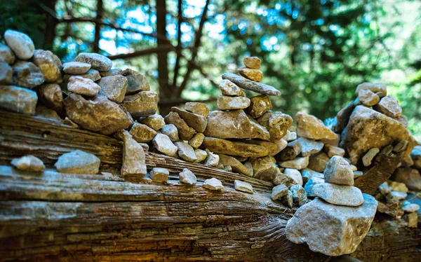 Horizontal lebendige Farbe Wald Baum Stein Zen Meditation Backgrou — Stockfoto