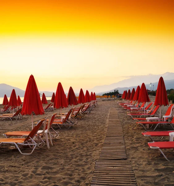 Kare canlı plaj şemsiye seyahat tatil arka plan backdr