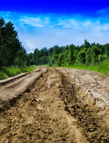 Dikey canlı Rus yaz ülke yol arka plan zemin