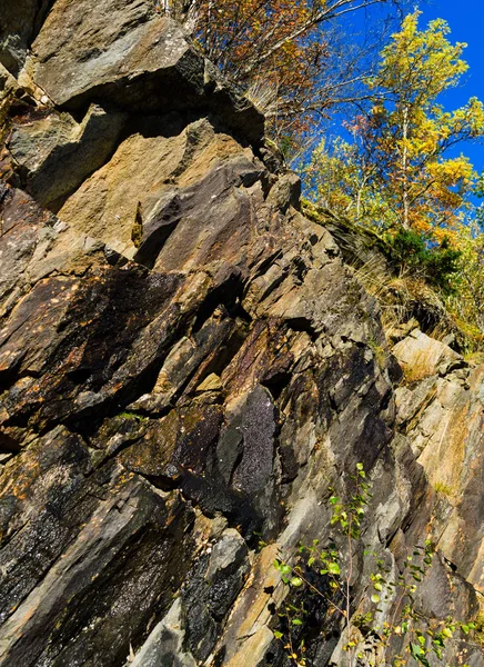 Dikey canlı Norveç rock dağ dokusu ile kompozisyon tre — Stok fotoğraf