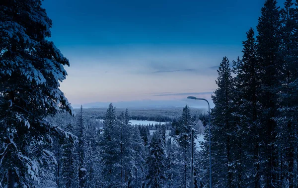 Morning sunrise at Finnish forest — Stock Photo, Image