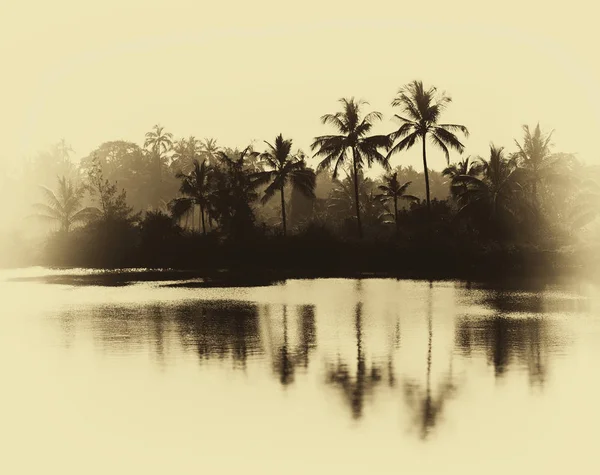 Vízszintes vintage szépia pálmák gondolatok a tó háttér-ba — Stock Fotó