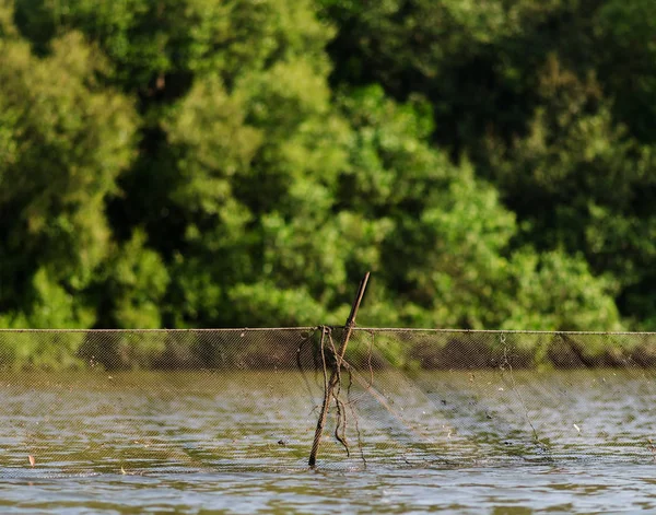 Horizontal vívido índio pesca net bokeh fundo fundo — Fotografia de Stock