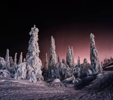 Yatay canlı kış Finlandiya manzara arka plan zemin