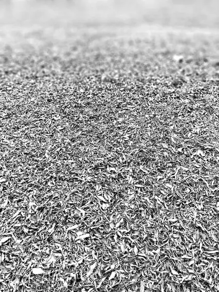Вертикальный черно-белый фон травы — стоковое фото