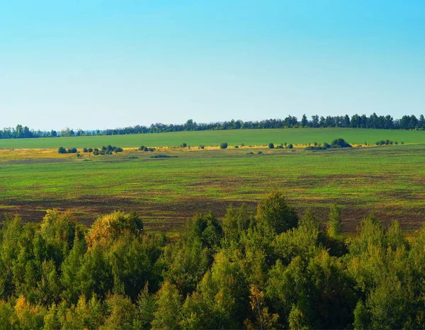 Dramatische herfst bos en weide landschap achtergrond — Stockfoto