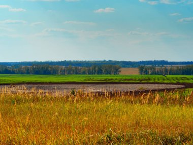 Dramatik sonbahar ormanı ve arazi manzarası