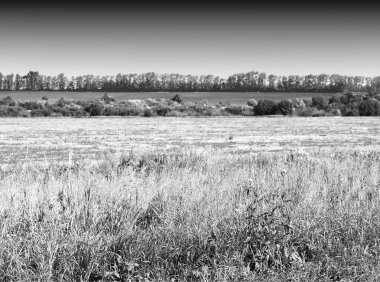 Dramatik sonbahar alan arkaplanı