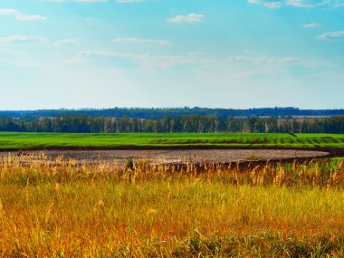 Dramatik sonbahar çayır manzarası arka planı