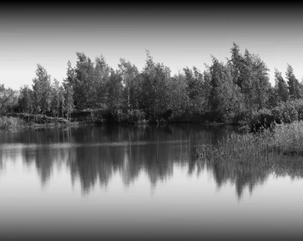 Dramáticas reflexiones forestales en un paisaje fluvial liso —  Fotos de Stock