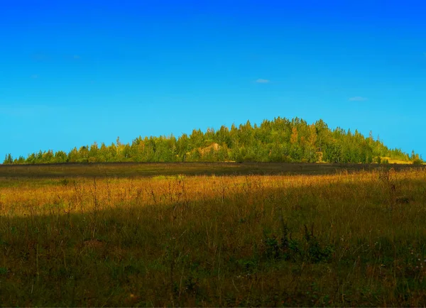 Shaded fall field landscape background — Stock Photo, Image