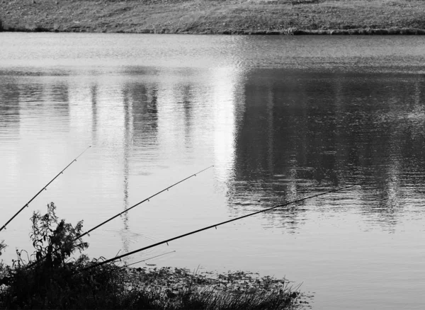 Siyah-beyaz nehir geçmişinde üç olta çubuğu — Stok fotoğraf