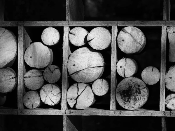 Drewniane kłody na tle półki — Zdjęcie stockowe