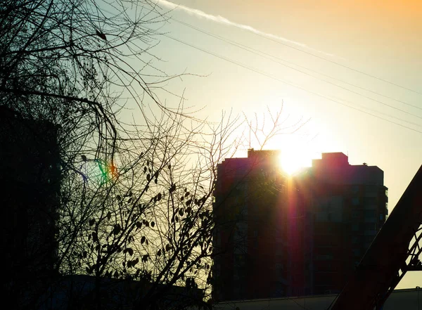 Coucher de soleil lumineux silhouette éclairante de la toile de fond du bâtiment — Photo