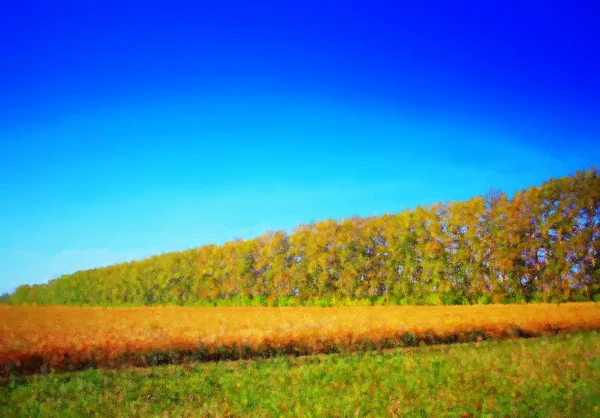 Élever la forêt sur l'illustration de paysage de prairie d'automne — Photo