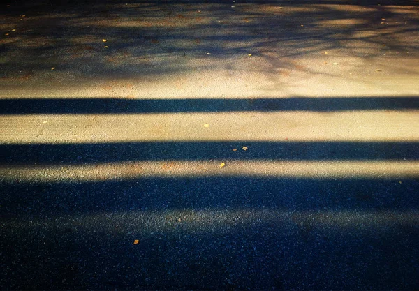 Ombre drammatiche da alberi su sfondo di asfalto autunno — Foto Stock