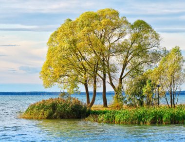Dramatik nehir adası manzarasında sonbahar ağaçları