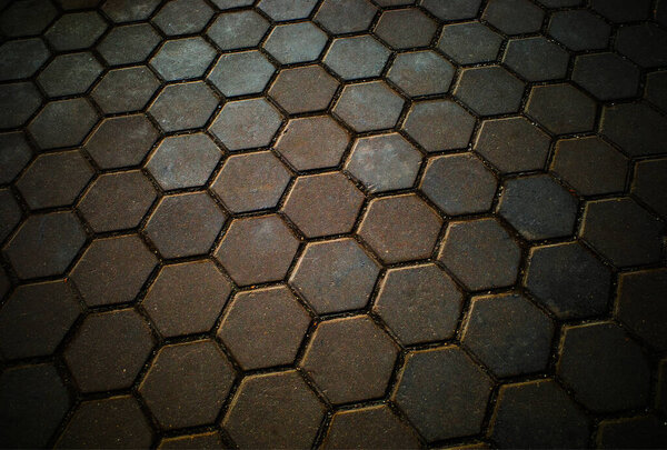 Pavement cell blocks texture background