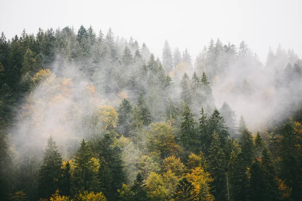 Kış aylarında yüksek dağlar