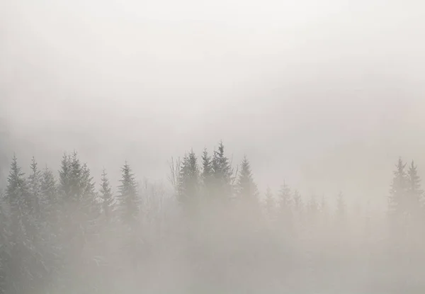 Montañas de invierno en Europa — Foto de Stock