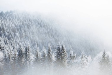 Avrupa'nın kış dağlar