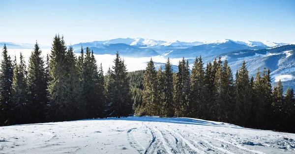 Vinter-bergen i Europa — Stockfoto
