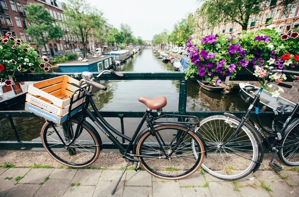 Niederlande, amsterdam: 15.06.2017: veiw auf der brücke thro — Stockfoto