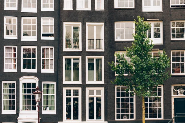 Окна зданий в Амстердаме — стоковое фото