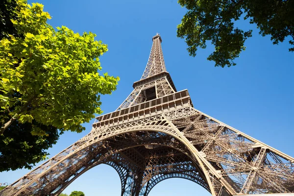 Torre Eiffel con árboles —  Fotos de Stock