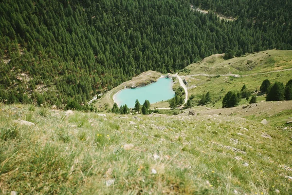 Horské jezero ve Švýcarsku uprostřed borovic — Stock fotografie