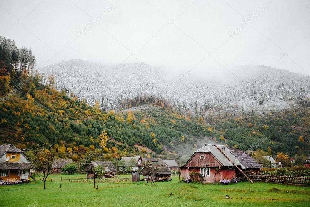 Houses in Forest with fog and snow high in the mountains