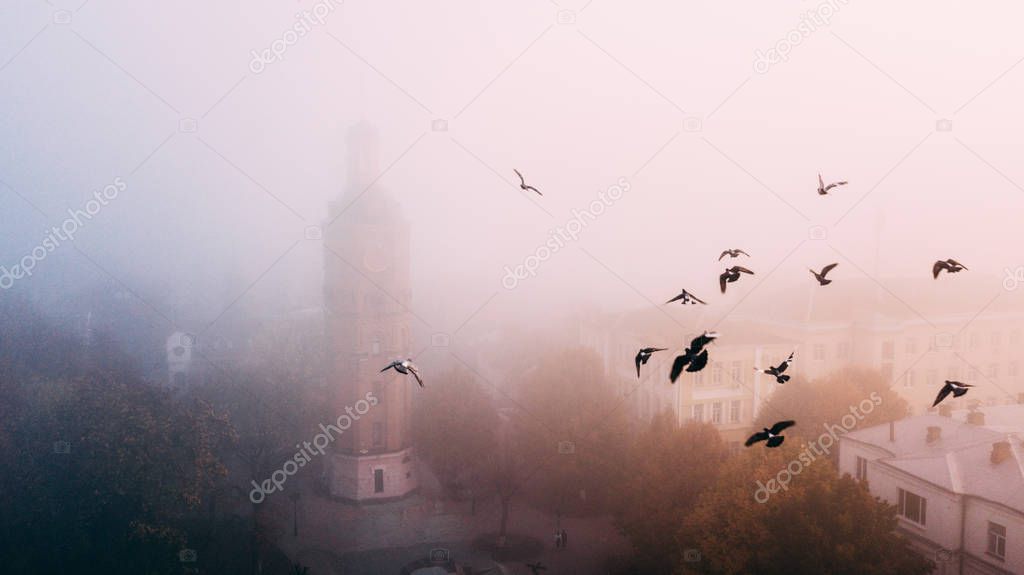 Europian city center covered in fog or mist with doves flying ab