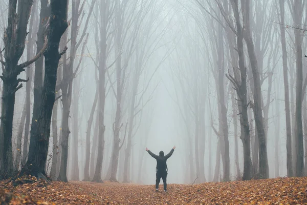 Hombre en bosque alto en niebla o niebla. Bosque oscuro espeluznante con el hombre preguntándose en la naturaleza con bolsa turística — Foto de Stock