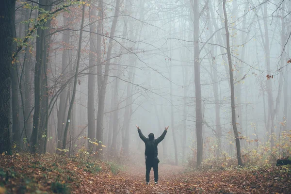 Человек в высоком лесу в тумане или тумане. Темный колючий лес с человеком, удивляющимся на природе с туристической сумкой — стоковое фото