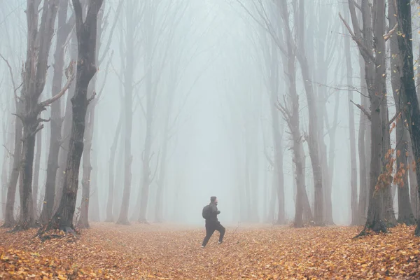 Uomo in alta foresta nella nebbia o nebbia. Foresta oscura spettrale con l'uomo chiedendo nella natura con borsa turistica — Foto Stock