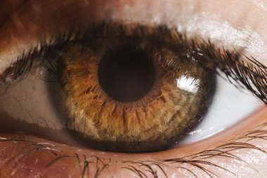 Kirpikli Makro kahverengi göz fotografı