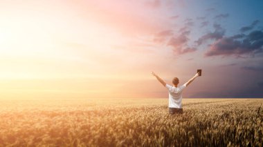 Man holding up Bible in a wheat field during sunrise. panoramic shot clipart