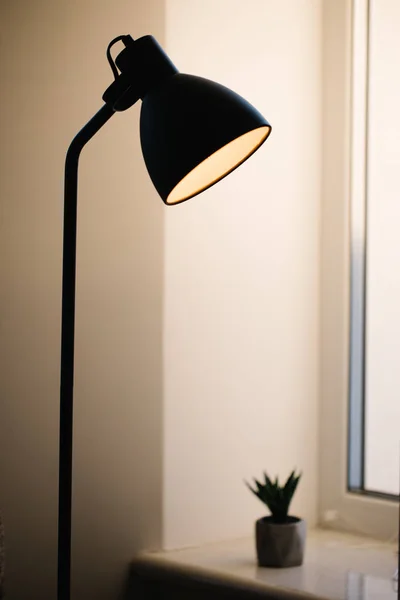 Black standing loft lamp in interior shining with edison bulb inside — Stock Photo, Image