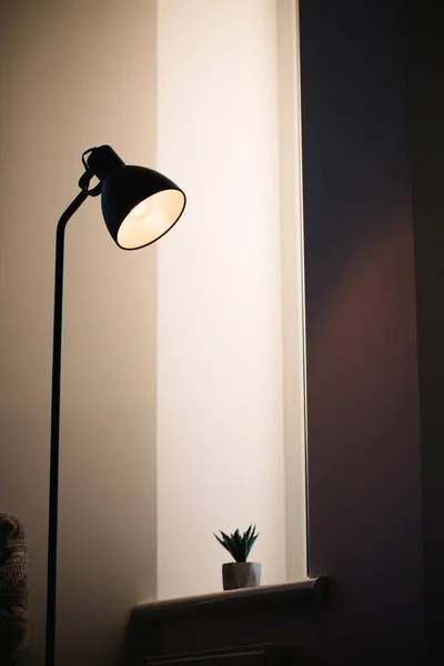 Lampada loft in piedi nera in interni brillanti con lampadina edison all'interno — Foto Stock