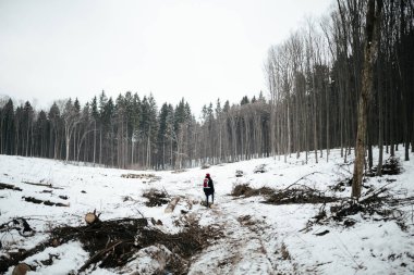 Kesilmiş bir ormanın ortasında duran bir kadın. Ekoloji veya çevre koruma sorunu veya kavramı