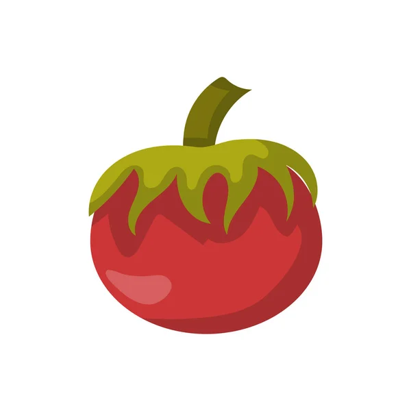 Vector cartoon isolated red tomato — Stock Vector