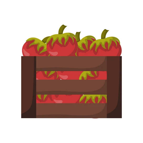 벡터 만화 고립 된 붉은 토마토 상자 — 스톡 벡터