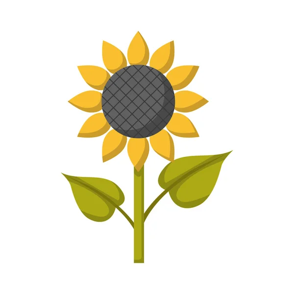 Vector de dibujos animados icono de girasol aislado — Vector de stock