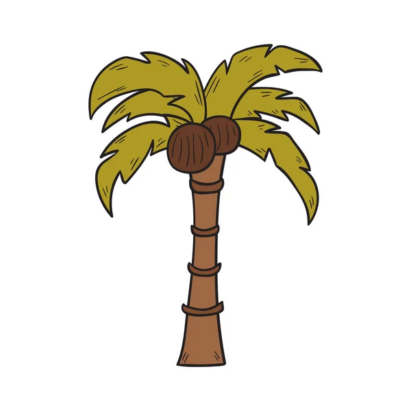 Cartone animato vettoriale isolato palma da cocco — Vettoriale Stock